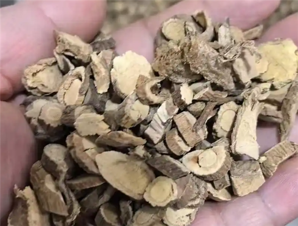 男子煎服15克山豆根中毒 医生：不能盲目相信偏方