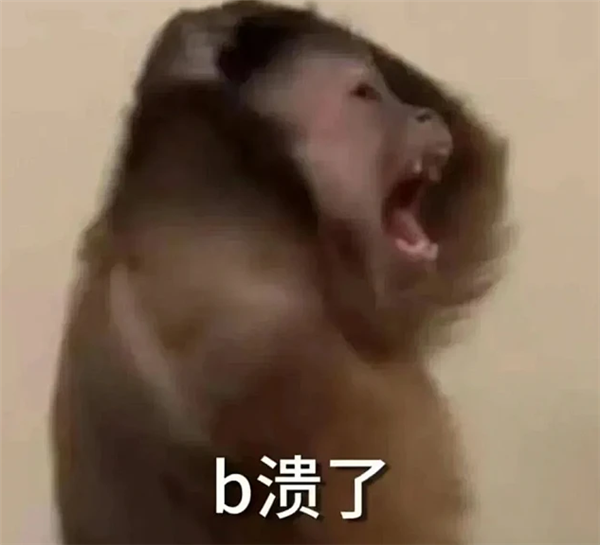 这次真要谢谢Data Agent了 让我过了一把当老板的瘾
