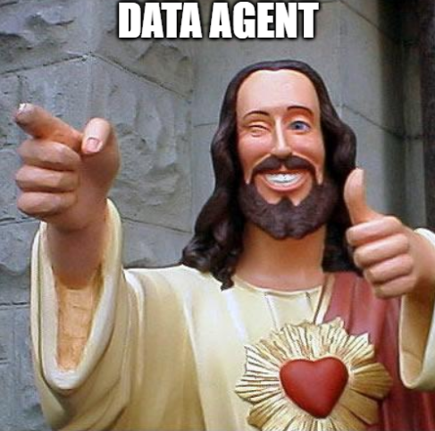 这次真要谢谢Data Agent了 让我过了一把当老板的瘾